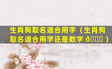 生肖狗取名适合用字（生肖狗取名适合用字还是数字 🍁 ）